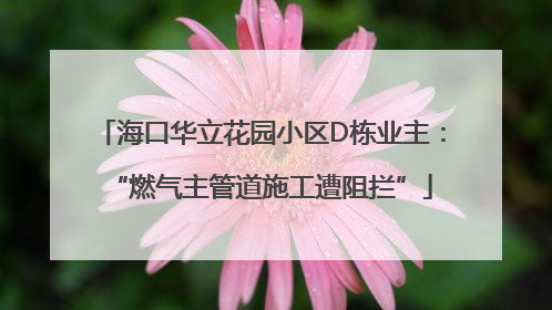 海口华立花园小区D栋业主：“燃气主管道施工遭阻拦”